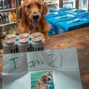 Meet your Posher, Scott